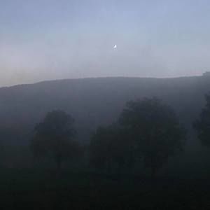 Meet your Posher, Nathan